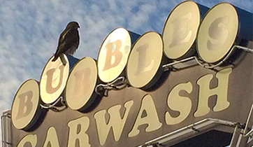 hawk car wash